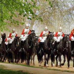 Što je konjica pukovnija? Povijest Konjske Rusije