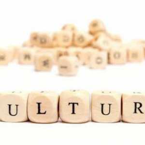 Što je kulturologija? Odnos kulturologije s drugim znanostima