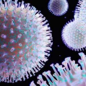 Što je morfologija mikroorganizama?
