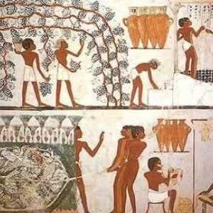 Što je porez u Drevnom Egiptu? Povijest poreza
