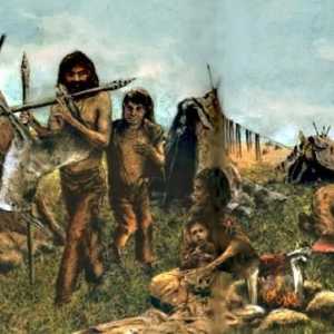 Što je neolitska revolucija: uzroci i značajke