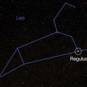 Što je Regulus? Značajke i značajke zvijezde