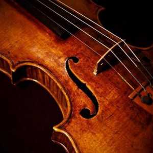 Što je violina? Struktura i funkcije violine