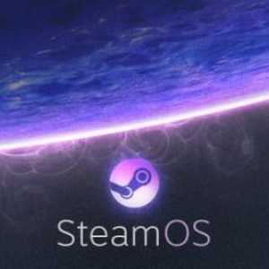 Što je Steam? Instalacija i uporaba