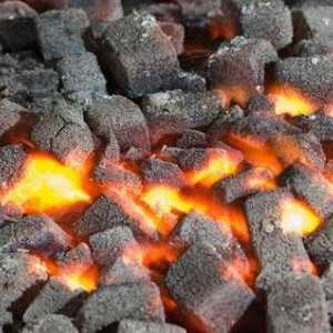 Što je ugljen i što su oni?