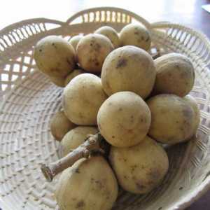 Kakav je plod longan, gdje se uzgaja, kako se jede i koliko je korisno