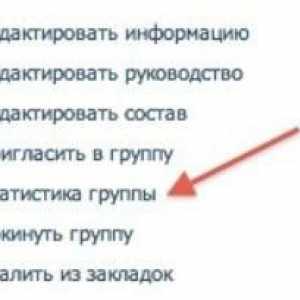Što znači "jedinstveni posjetitelji" na "VKontakte"? Kako vidjeti jedinstvene…