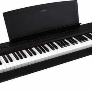 Digitalni klavir Yamaha P 35: specifikacije, recenzije, fotografije