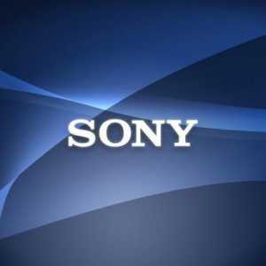 Digitalni fotoaparat Sony Cyber ​​Shot DSC-W830: recenzije