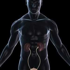 Cistitis kod muškaraca: uzroci, simptomi i metode liječenja