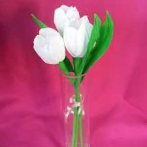 Cvijeće od krep papira: tulipani i kročuti