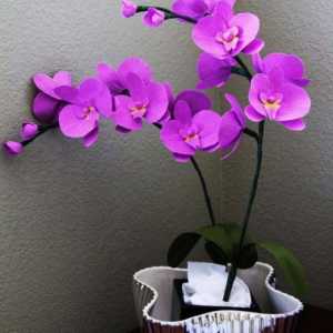 Cvijeće s vlastitim rukama: orhideja od valovitog papira