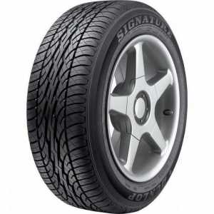 `Dunlop` (gume): recenzije, značajke, cijene