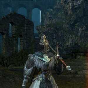 Dark Souls 2: Oklop i njegove sorte