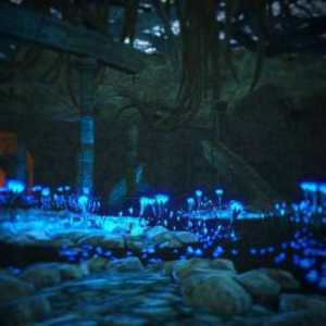 Dark Souls 2, Hram Amana: opis i prolazak lokacije