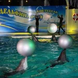 Dolphinarium u Koktebelu - zanimljivo mjesto