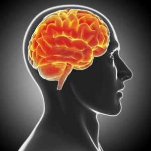 Demijelinizirajuća bolest mozga: liječenje, predviđanja, simptomi