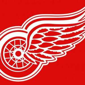`Detroit` - hokej klub: igrači, postignuća