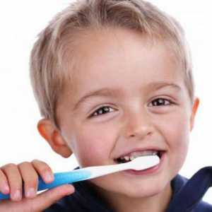 Električna zubna četkica za zube "Oral Bi": recenzije i fotografije