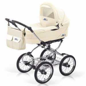 Noordline baby strollers: pregled, vrste, značajke i recenzije vlasnika