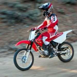 Dječji motocikli na benzinu: mini-križevi, sportovi (foto)