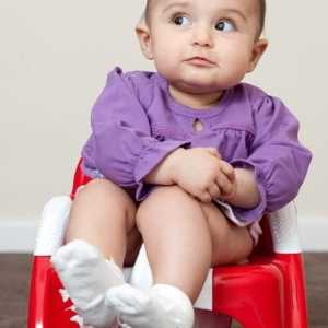Dječja sjedala na toaletu: kada je beba već odrasla