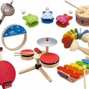 Dječji glazbeni instrument - glazbene igračke za djecu