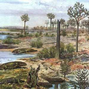 Devonsko razdoblje paleozojskog doba