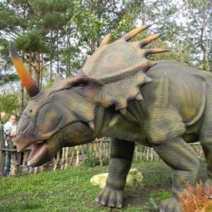 Dinopark (Magnitogorsk): putovanje u prapovijesni svijet, dostupno svima