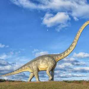 Dinosauri s dugim vratom: sorte, opis, stanište