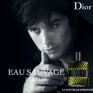 "Dior" (muški parfem): recenzije. Luksuzni parfem za muškarce
