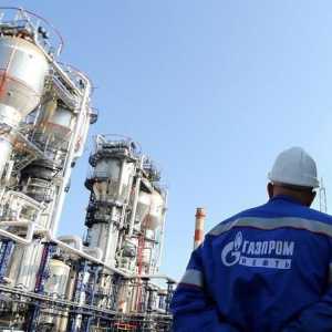 Direktor Gazproma o zaštiti nacionalne dobrobiti
