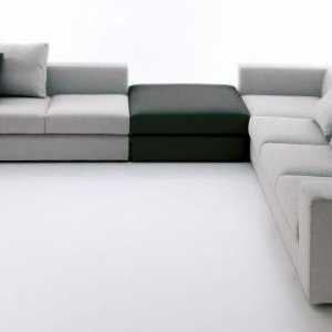 Sofa modularna za dnevni boravak: pregled, vrste, proizvođači i recenzije