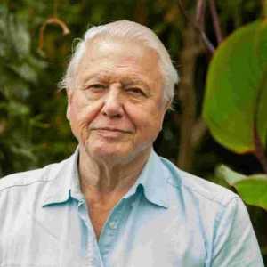 David Attenborough: Filmografija, biografija i osobni život