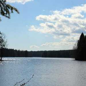 Dugi jezero, područje Lenjingrada: opis, odmor, ribolov