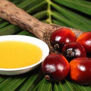 Zašto dodati palminog ulja za hranu i dojenčad? Što je ovaj proizvod napravljen, koja je njegova…