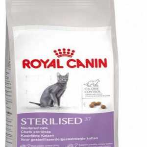 Za kastrirane mačke `Royal Canin`: glavne karakteristike i recenzije
