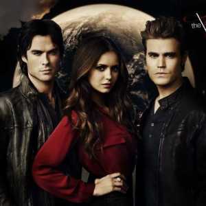 `Vampire Diaries`, sezona 7: opis, kratka priča i cast