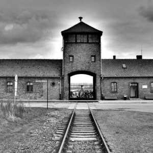 Dokumentarni i igrani filmovi o Auschwitzu