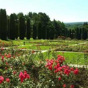 Dolina ruža (Kislovodsk): povijest, opis i mjesto