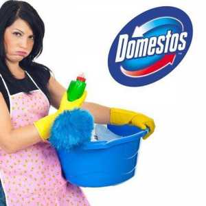 Domestos: upute za uporabu i razni savjeti o idealnoj čistoći u kući