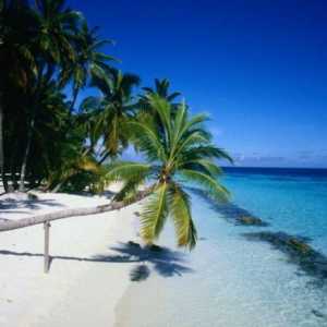 Dominikanska Republika: glavni grad Santo Domingo, najbolje plaže i izleti u Punta Cani. Koliko…