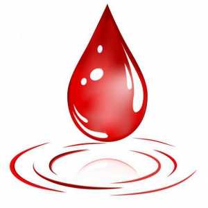 Donacija krvi: koristi i šteta. Gdje i kako donirati krv