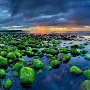 Island Atrakcije: Priroda, klima i zanimljive činjenice