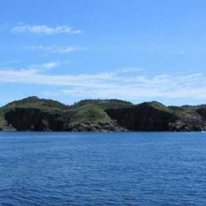 Značajke Newfoundlanda: povijest, klima