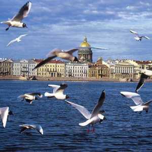 Znamenitosti u St. Petersburgu. Ruski muzeji iz Petrograda. Nezaobilazna mjesta u Saint-Petersburgu