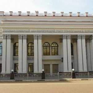 Dramsko kazalište (Voronezh): povijest, repertoar, trupa