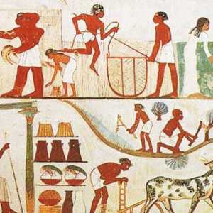 Drevni Egipat: gospodarstvo, njegove značajke i razvoj