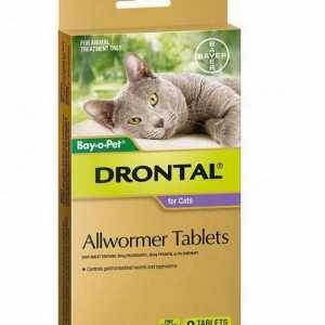 `Drontal` za mačke: korisnički priručnik (recenzije)