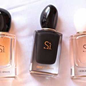 Perfume Si: opis mirisa, karakterističan, proizvođač. Parfem Giorgio Armani Si: cijena, recenzije
